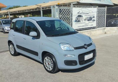 Fiat Panda 1.2 Pop usata