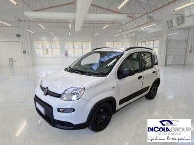 Fiat Panda 1.0 FireFly S&S Hybrid City Life usata