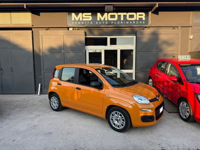 Fiat Panda Cross Cross 1.0 FireFly S&S Hybrid usata