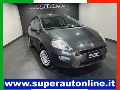 Fiat Punto 1.3 MJT II S&S 95 CV 5 porte Street usata