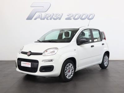 Fiat Panda 1.0 firefly hybrid s&s 70cv 5p.ti usata
