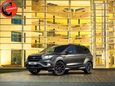 Ford Kuga 2.0 TDCI 180 CV S&S 4WD Powershift Vignale usata