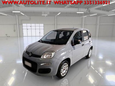 Fiat Panda 1.2 Easy usata