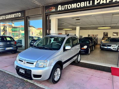 Fiat Panda 1.2 4x4 usata