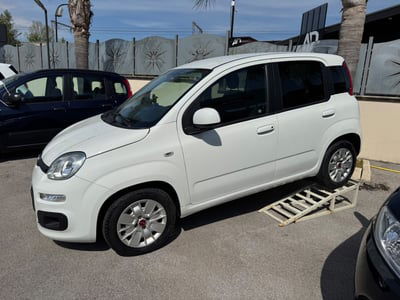 Fiat Panda 1.0 FireFly S&S Hybrid Launch Edition usata