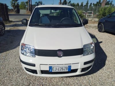Fiat Panda 1.2 Active usata