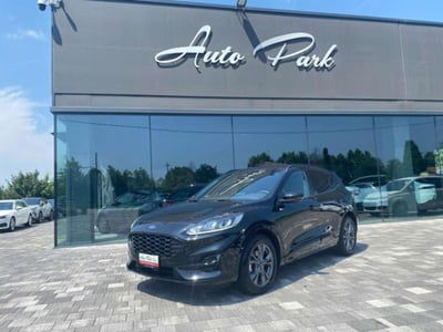 Ford Kuga 2.0 EcoBlue 120 CV aut. 2WD ST-Line X usata