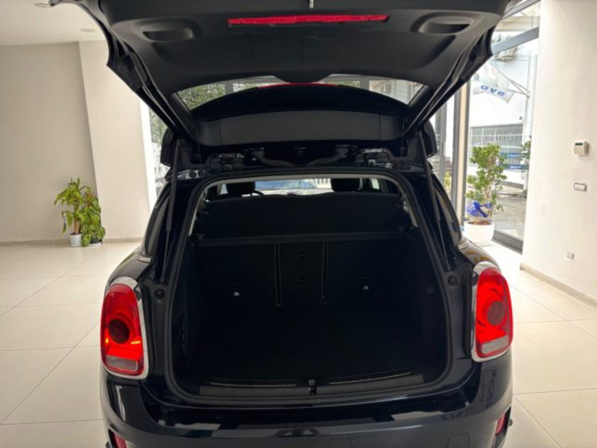 MINI Mini Countryman 2.0 Cooper D Business Countryman ALL4 Automatica (13)