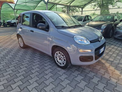 Fiat Panda 1.2 Easy usata