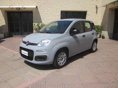 Fiat Panda 1.2 Easy usata