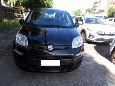 Fiat Panda 1.0 FireFly S&S Hybrid usata