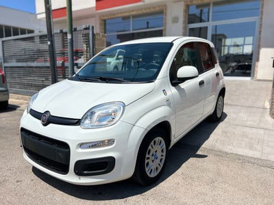 Fiat Panda 1.2 Pop usata