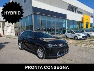 Lexus UX Full Electric Premium usata