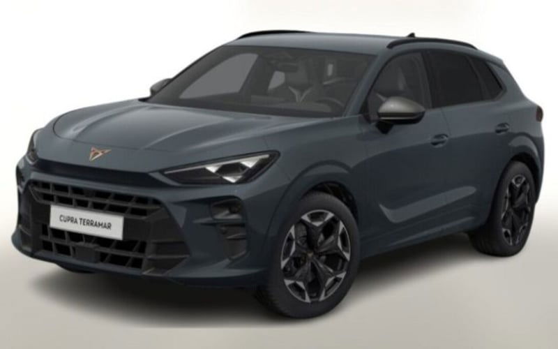 Cupra Terramar 2.0 tsi VZ 4drive 265cv dsg