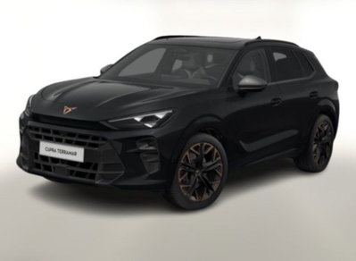 Cupra Terramar 2.0 tsi VZ 4drive 265cv dsg (6)