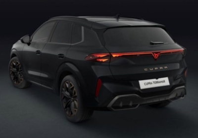 Cupra Terramar 2.0 tsi VZ 4drive 265cv dsg (8)