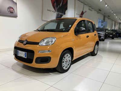 Fiat Panda 1.2 Easy usata
