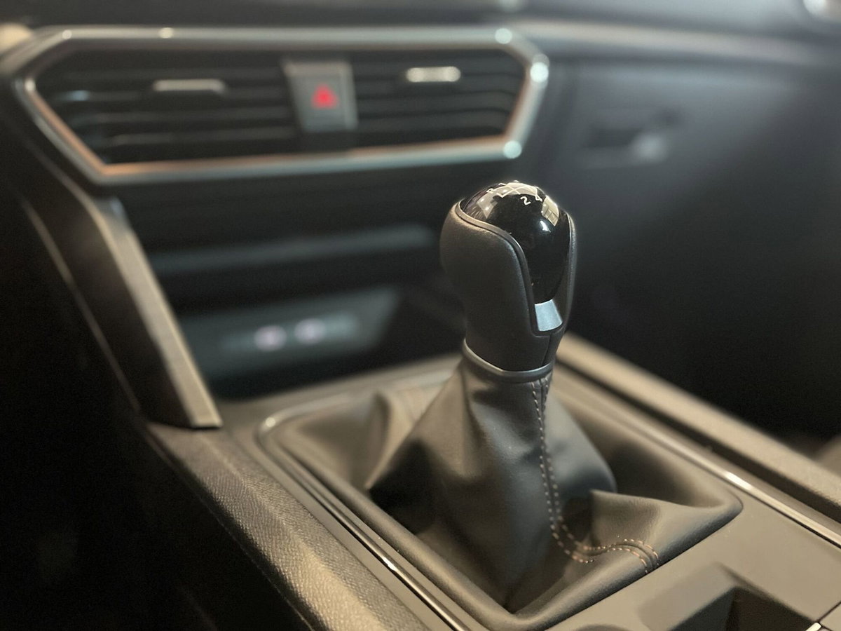 Cupra Formentor Formentor 2.0 TDI (17)