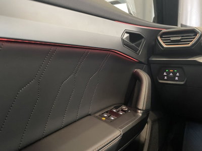 Cupra Formentor Formentor 2.0 TDI (18)
