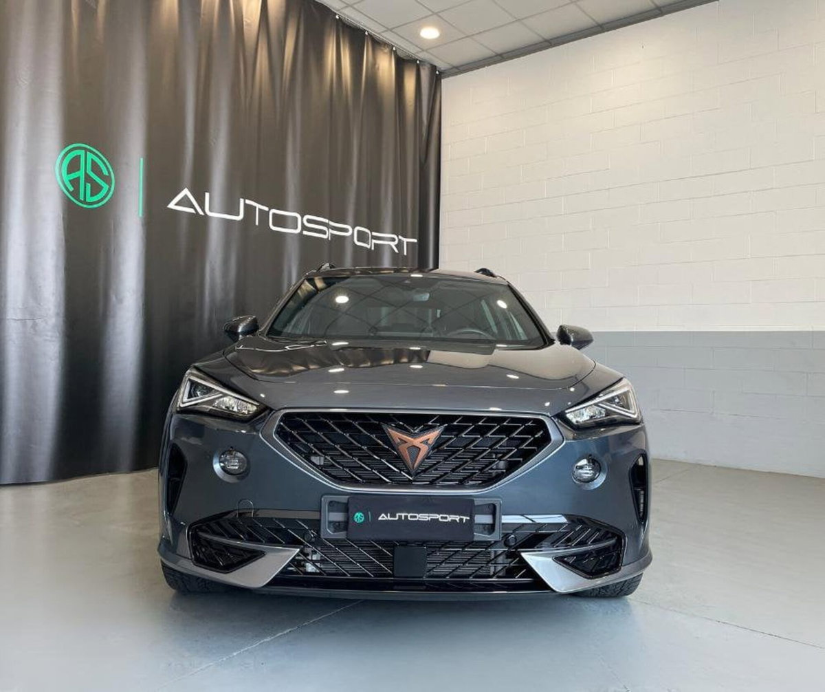 Cupra Formentor Formentor 2.0 TDI (2)