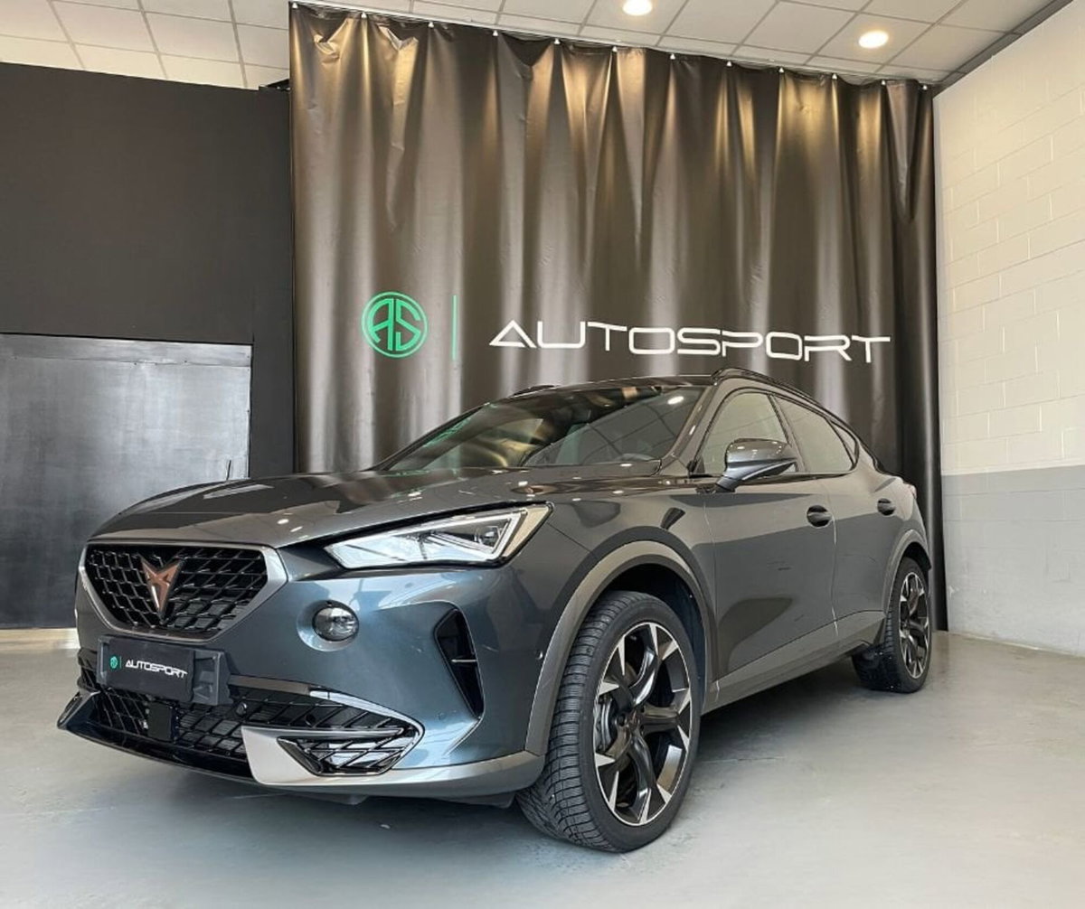 Cupra Formentor Formentor 2.0 TDI (3)