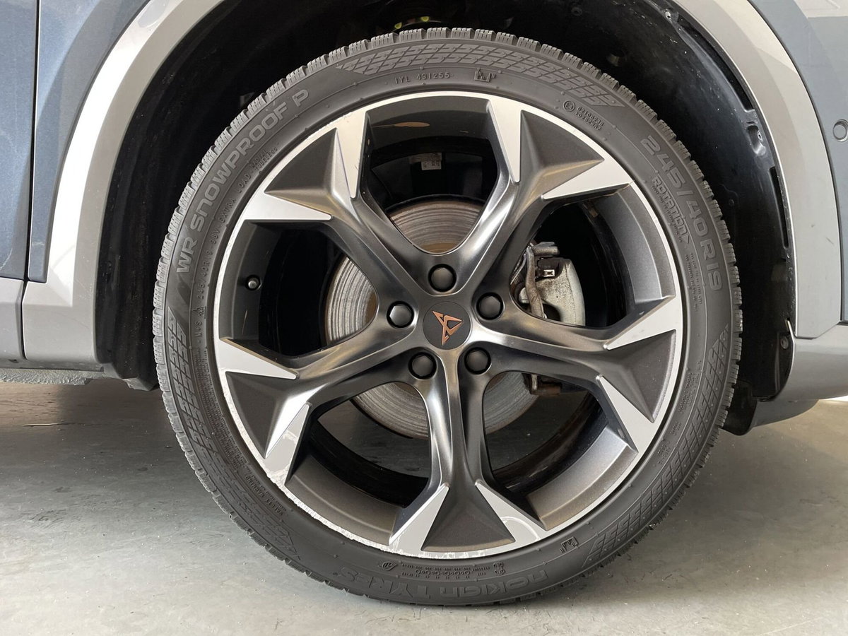 Cupra Formentor Formentor 2.0 TDI (8)