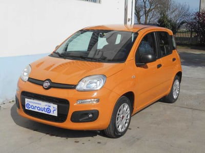 Fiat Panda 1.2 Easy usata