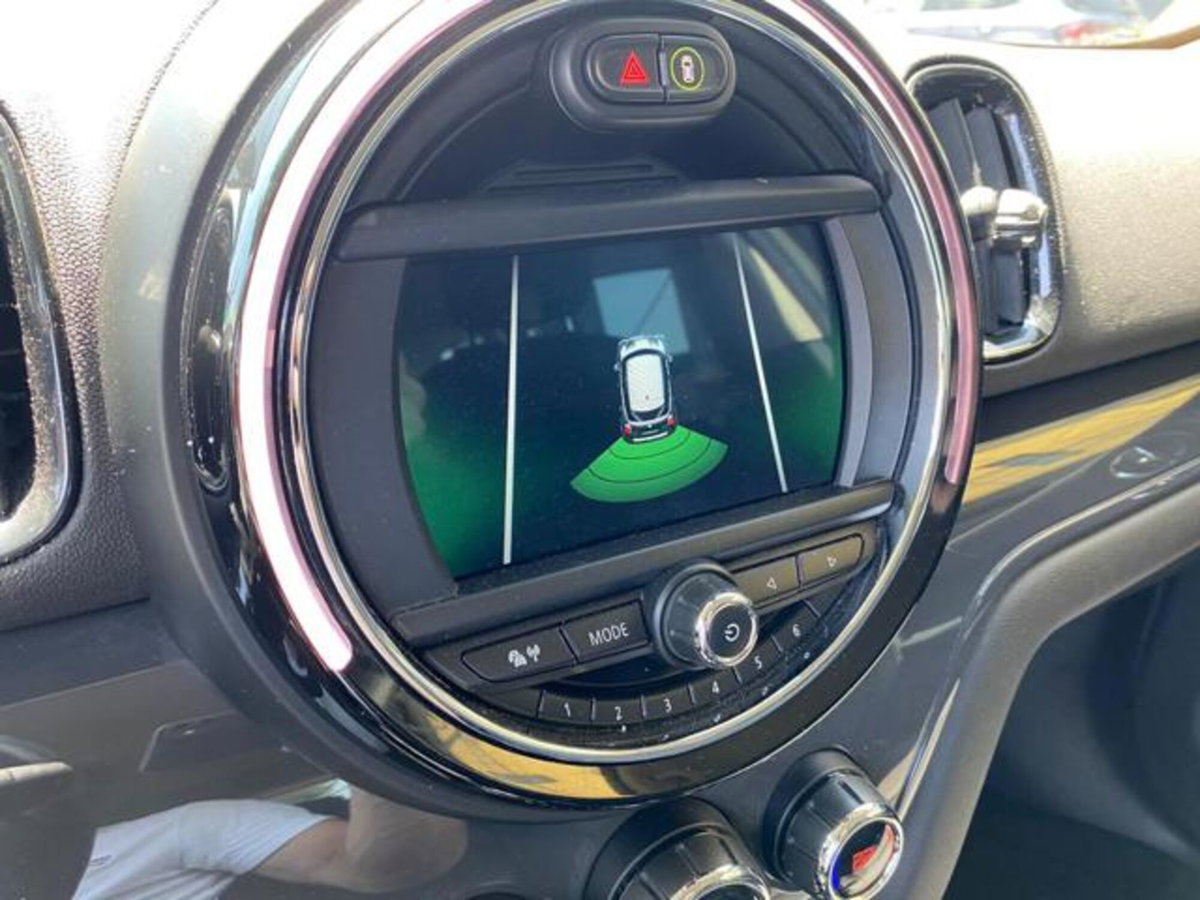MINI Mini Countryman 2.0 Cooper D Business Countryman ALL4 Automatica (13)