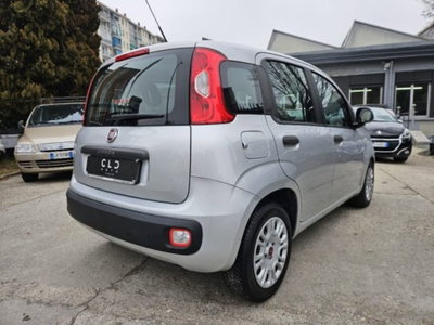 Fiat Panda 1.2 EasyPower Easy (5)