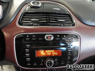 Fiat Punto Evo 1.4 5 porte Dynamic Natural Power (15)