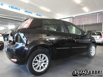 Fiat Punto Evo 1.4 5 porte Dynamic Natural Power (4)