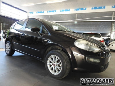 Fiat Punto Evo 1.4 5 porte Dynamic Natural Power (5)