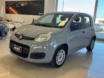 Fiat Panda 1.2 Easy usata