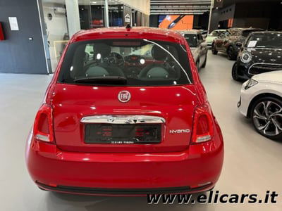 Fiat 500 1.0 Hybrid Pop usata