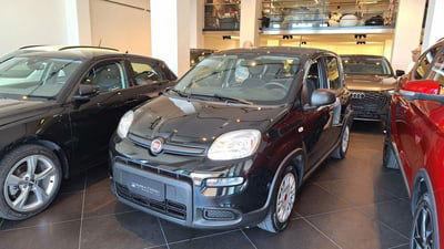 Fiat Panda 1.0 FireFly S&S Hybrid City Cross usata