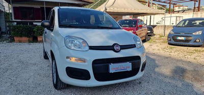 Fiat Panda 1.2 EasyPower Easy usata