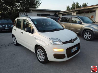 Fiat Panda 1.2 EasyPower Easy usata