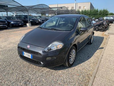 Fiat Punto 1.2 8V 5 porte Young usata