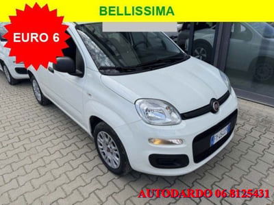 Fiat Panda 1.2 Easy usata