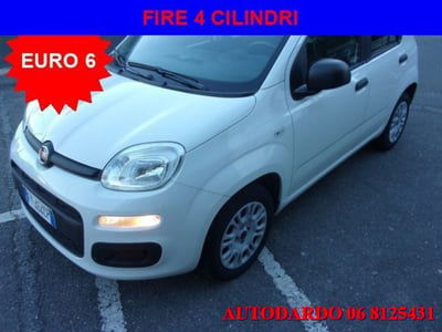 Fiat Panda 1.2 Easy usata