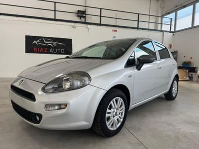 Fiat Punto 1.2 8V 5 porte Young usata