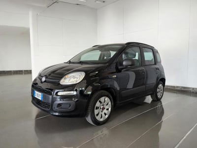 Fiat Panda 1.2 Easy usata