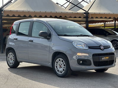 Fiat Panda 1.2 Easy usata