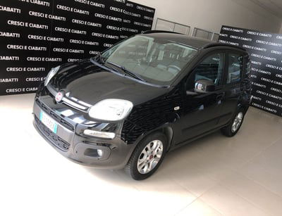 Fiat Panda 1.2 Lounge usata