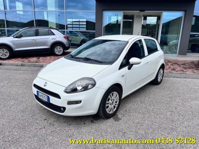 Fiat Punto 1.2 8V 5 porte Lounge usata