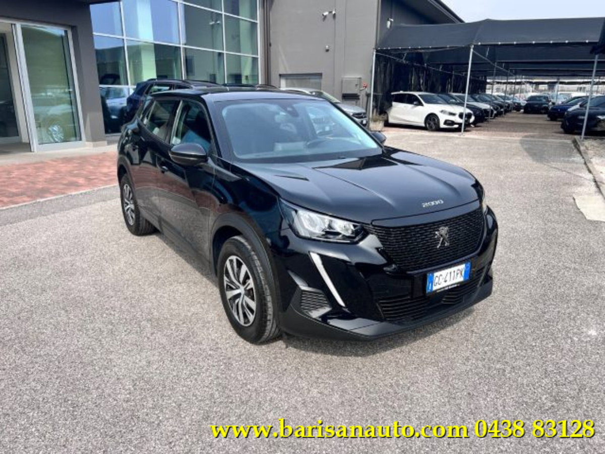 Peugeot 2008 PureTech 100 S&S Active (2)