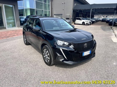 Peugeot 2008 PureTech 100 S&S Active (2)