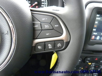 Jeep Renegade 1.5 Turbo T4 MHEV Limited (15)