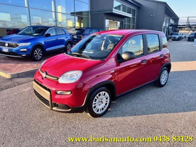 Fiat Panda 1.0 firefly hybrid s&s 70cv 5p.ti nuova