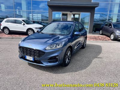 Ford Kuga 2.0 EcoBlue 120 CV aut. 2WD ST-Line X usata